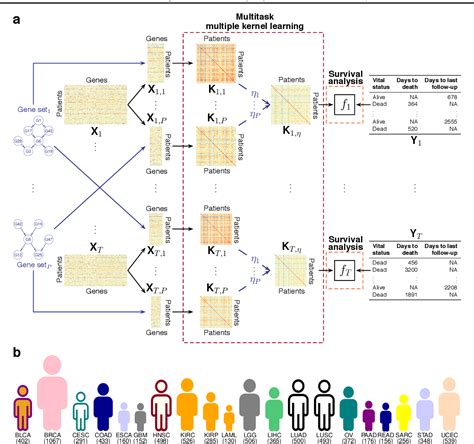 multiple kernel learning algorithms.